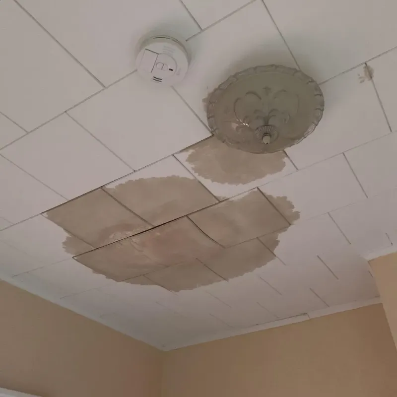 Ceiling Water Damage Repair in Medina County, TX